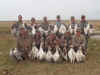 Duck-Goose 2010 - 054.JPG (95637 bytes)