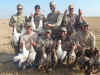 Duck-Goose 2010 - 056.JPG (107030 bytes)