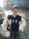 Duck-Goose 2013 - 099.jpg (61999 bytes)