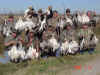 Rye Grass Goose Hunt - 1-31-06 - 005.jpg (132420 bytes)